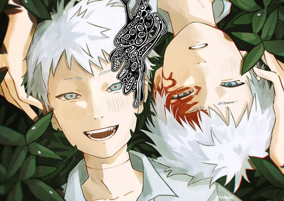 The Summer Hikaru Died